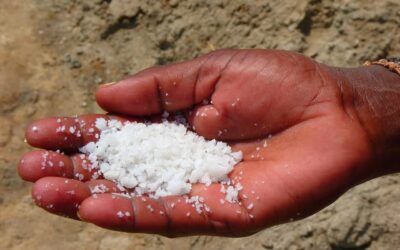 salt, hand, salt extraction-51973.jpg